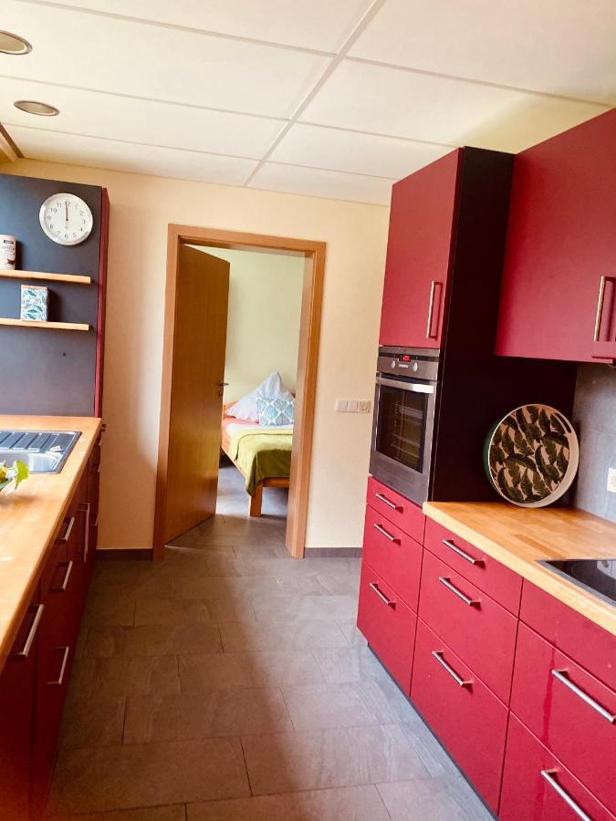 WeißenbergFamilienbauernhof Lehmann公寓 外观 照片